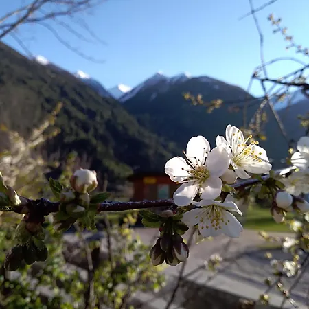 Oberrollerhof Pensión Virgen