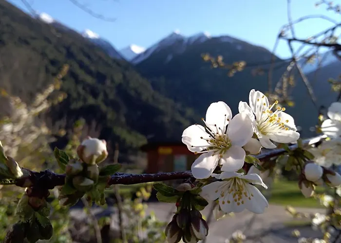 Oberrollerhof Pensión Virgen